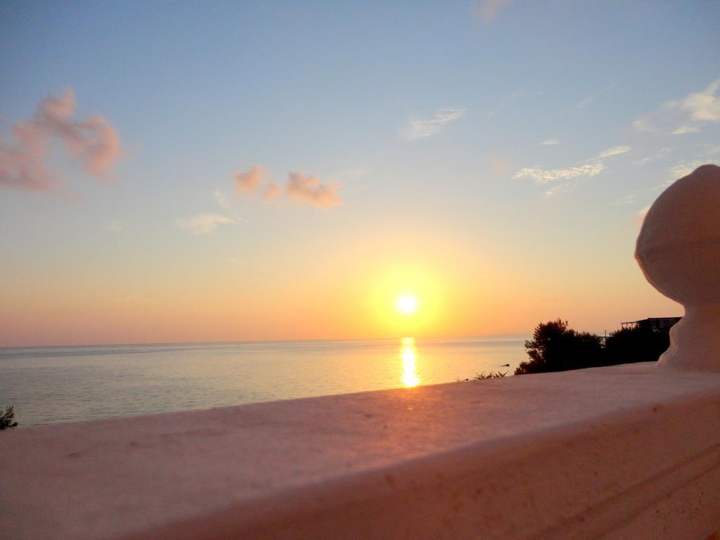 Apartment Sunrise Rent *